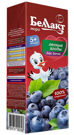 Морс "Лесные ягоды"